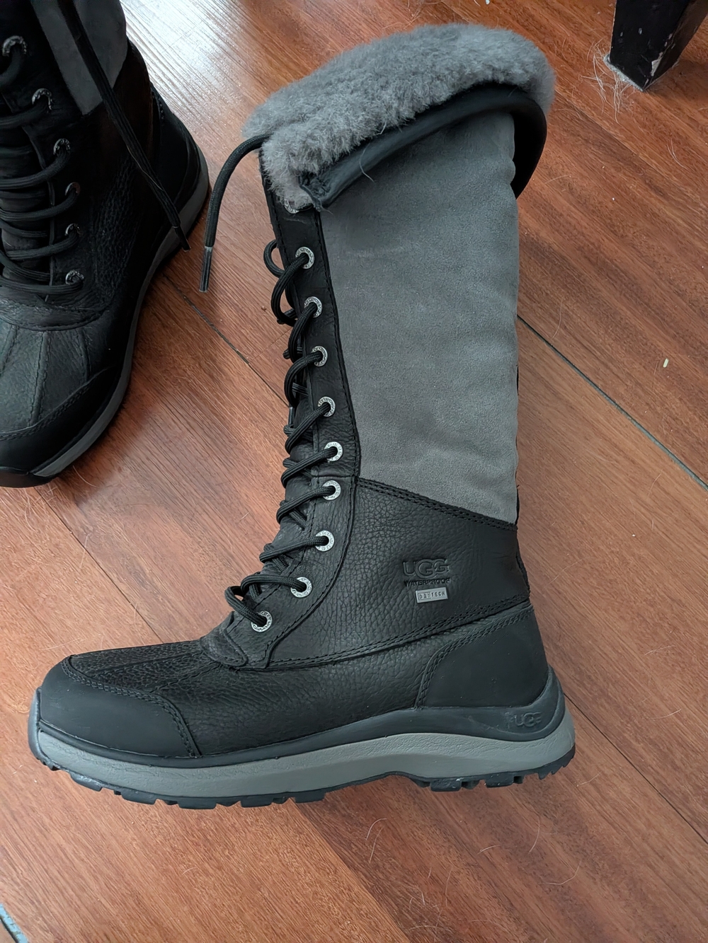 UGG Women's Black and Gray Tall Lace-Up Winter Boot with Shearling Cuff
